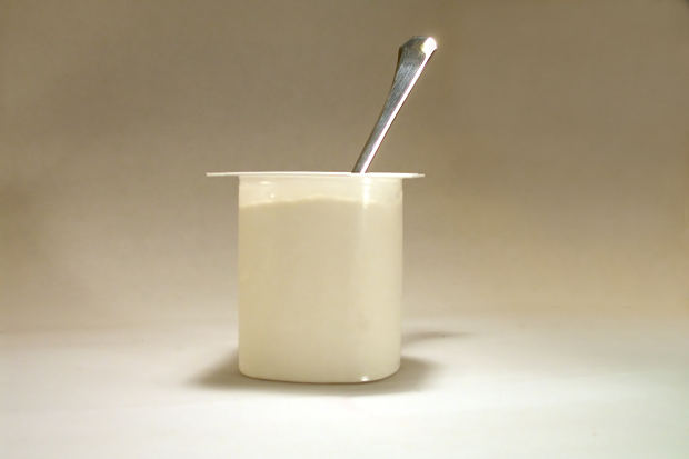 yogurt_200711